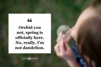 Overhead view of girl blowing dandelion flower on grassy field