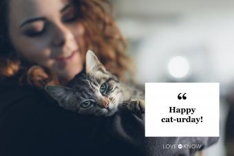 Saturday quote woman holding cat