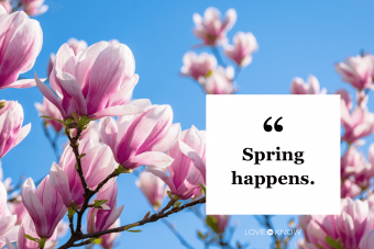 Short Spring Instagram Caption