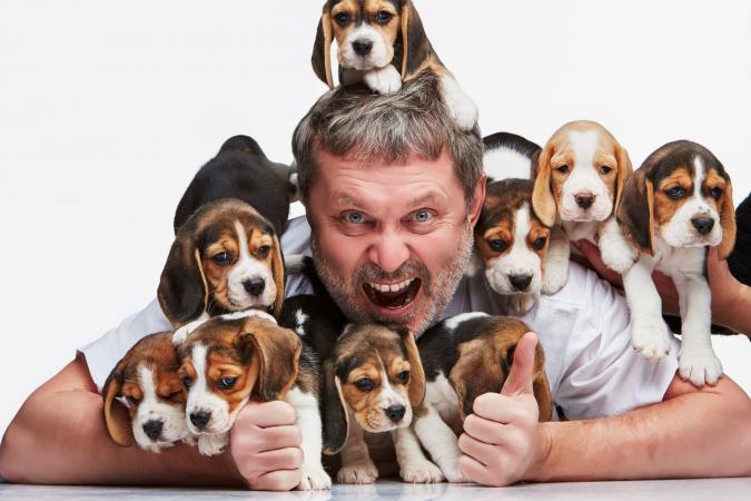 Man buried in puppies