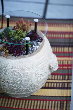 Succulent planter glass top coffee table at Shopsteellife.com