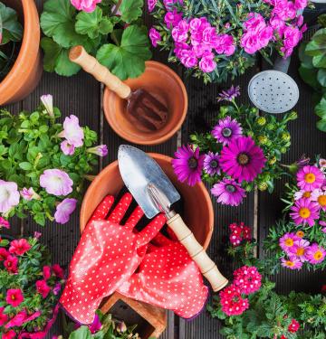 16 Best Summer Planter Flowers for Full Sun or Shady Yards