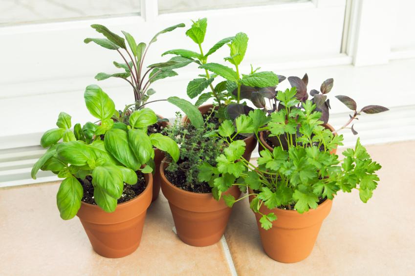 grow-vegetables-in-containers-lovetoknow