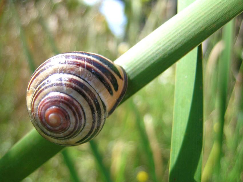 How to Grow a Vegetable Garden LoveToKnow