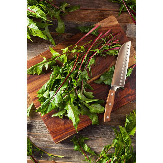 25 Edible Weeds That Are Delicious and Nutritious LoveToKnow