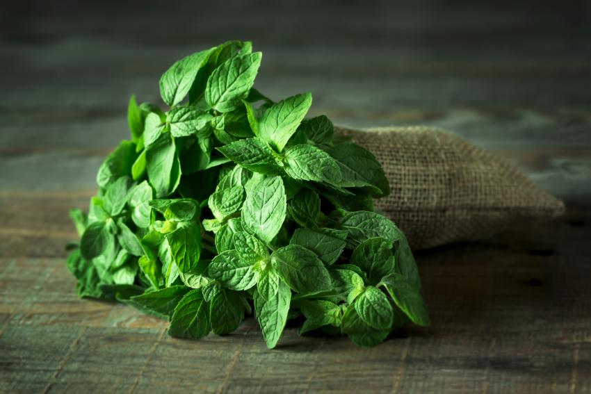 Types of Mint & Their Uses | LoveToKnow