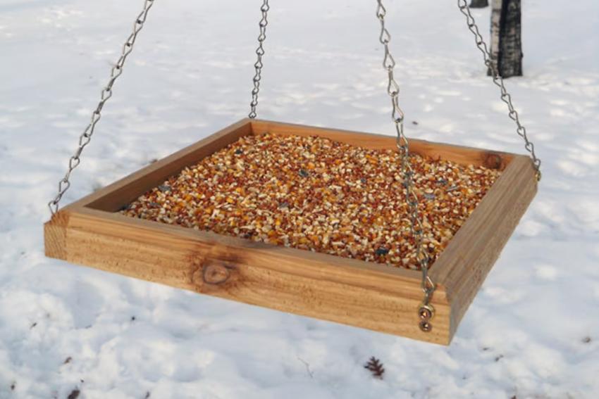10 DIY Bird Feeder Ideas to Feed Your Feathered Friends | LoveToKnow
