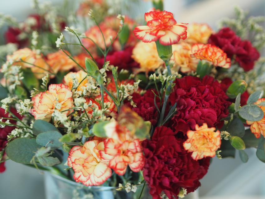 Meaning & Symbolism of Different Colors of Carnations LoveToKnow