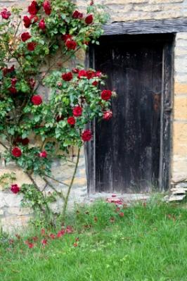 Black_Door_Red_Roses.jpg