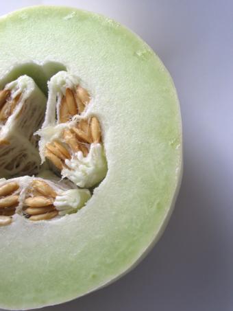 https://cf.ltkcdn.net/garden/images/slide/112080-600x800-Honeydew-Melon.jpg