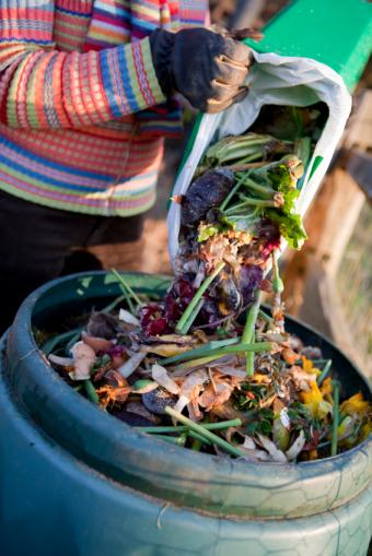 https://cf.ltkcdn.net/garden/images/slide/112158-566x848-04foodwaste.jpg