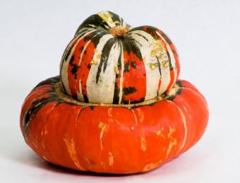 https://cf.ltkcdn.net/garden/images/slide/112301-794x605-Turban_Squash.jpg