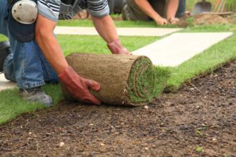 laying sod