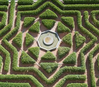 Perfectly symmetrical hedges in a formal garden