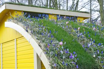 https://cf.ltkcdn.net/garden/images/slide/175337-850x566-carport-roof-garden.jpg