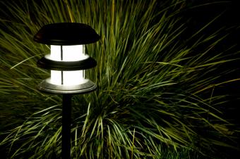 outdoor lighting for bunchgrass