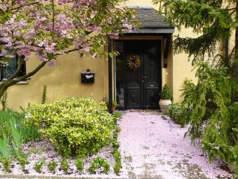 entryway planting