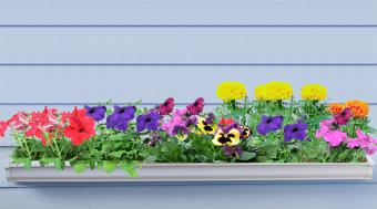 Flower rain gutter garden