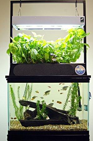 ECO-Cycle Aquaponics Kit w/ Dual T5 Grow Light