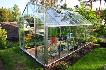 Glass Greenhouse