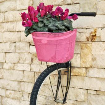 https://cf.ltkcdn.net/garden/images/slide/248555-850x850-bike-on-the-wall.jpg