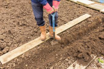 Gardener digging a trench