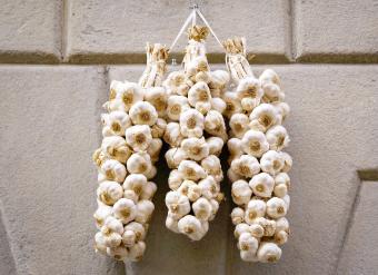 Garlic Hanging On Wall