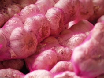 Garlic braids in mesh bags