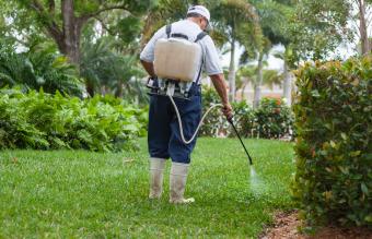 Pest control technician