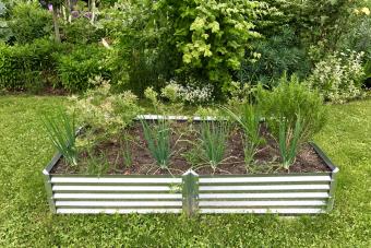 Metal raised garden bed