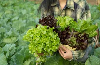 Midsection Of Woman Holding Leaf