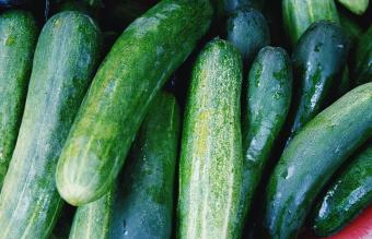 Shot Of Wet Zucchinis