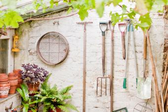 Tools hanging on wall of garden shed 