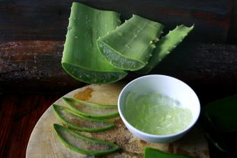 Aloe vera on wooden background