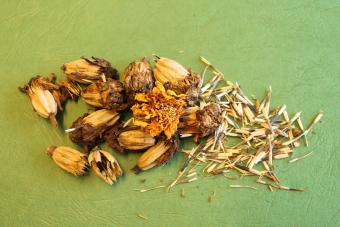 Marigold heads and seeds