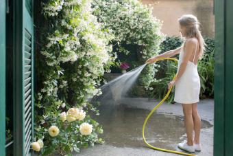 Woman watering jasmine summer flowers in back yard