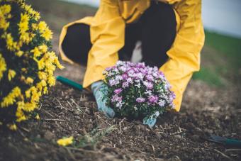 Woman in a Home Garden