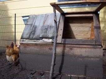 Recycled wood chicken coop