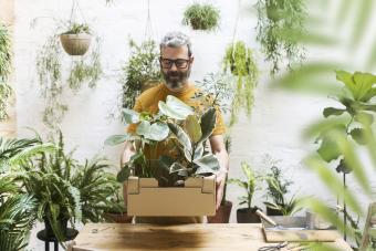 https://cf.ltkcdn.net/garden/images/slide/331649-850x567-man-holding-cardboard-box-with-new-plants.jpg