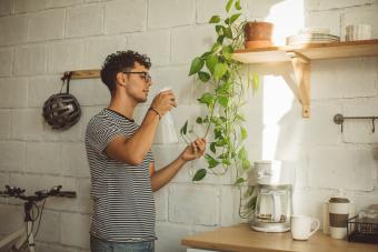 young man spraying plants