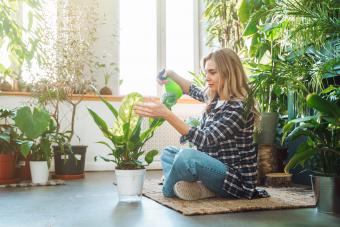 woman spraying neem oil on plants