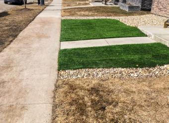 When Your Lawn Turns Brown, Will Dead Grass Grow Back?