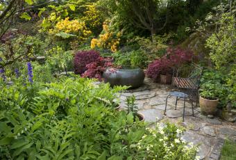 Top 10 delta shadow garden ideas and inspiration