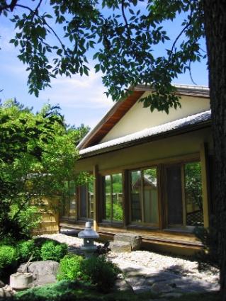 Japanese tea garden