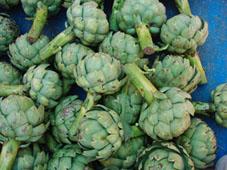 Perinneial Foods