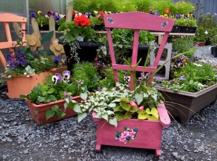 annuals