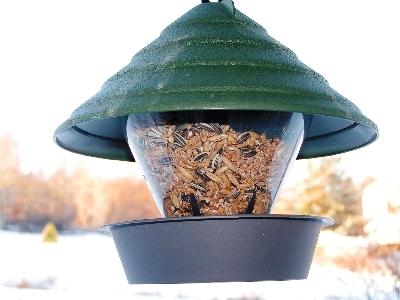bird feeders