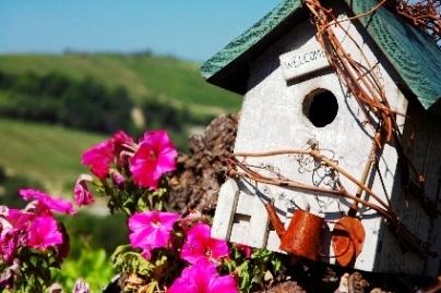 bird house