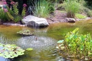 water garden with fountain