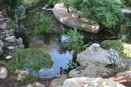 water garden